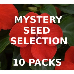 MYSTERY VALUE SELECTION OF 10 PACKS OF SEEDS MYSTERY VALUE SELECTION OF 10 PACKS OF SEEDS