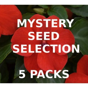 MYSTERY VALUE SELECTION OF 5 PACKS OF SEEDS MYSTERY VALUE SELECTION OF 5 PACKS OF SEEDS